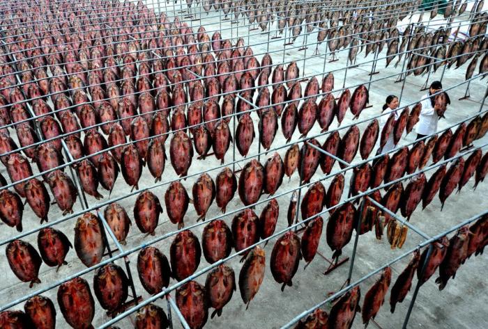 Ropa, colchas, verdura, pescado: 15 formas de poner las cosas a secar en China (FOTOS)