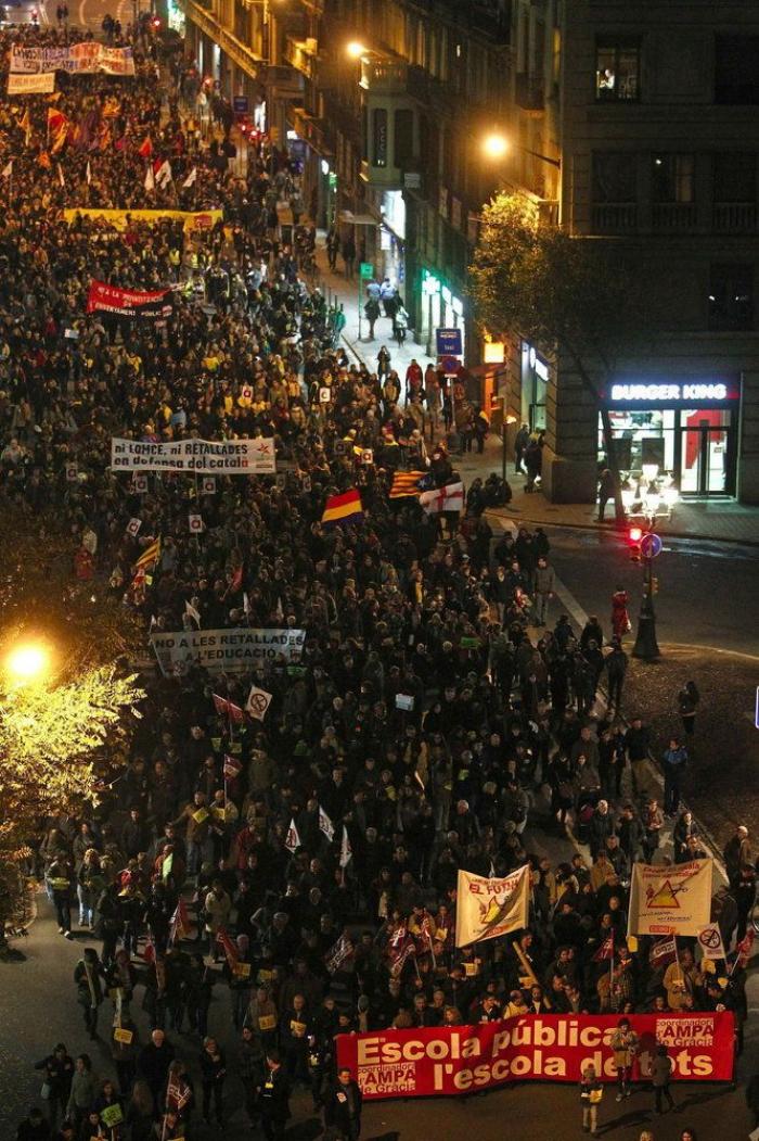 Miles de personas en 30 ciudades de España se manifiestan contra la ley de Wert (FOTOS)