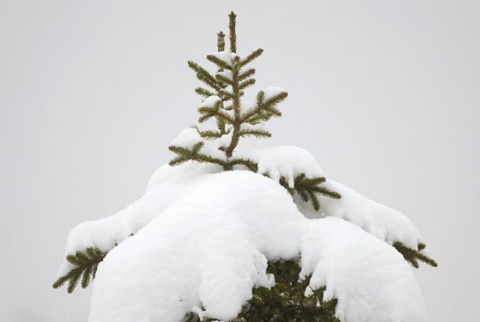 Navidad 2012: Las imágenes de distintas ciudades del mundo nevadas