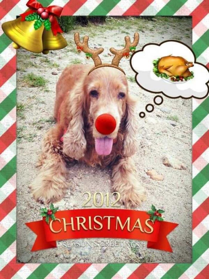 Claves para organizar tu móvil como si fueras Marie Kondo