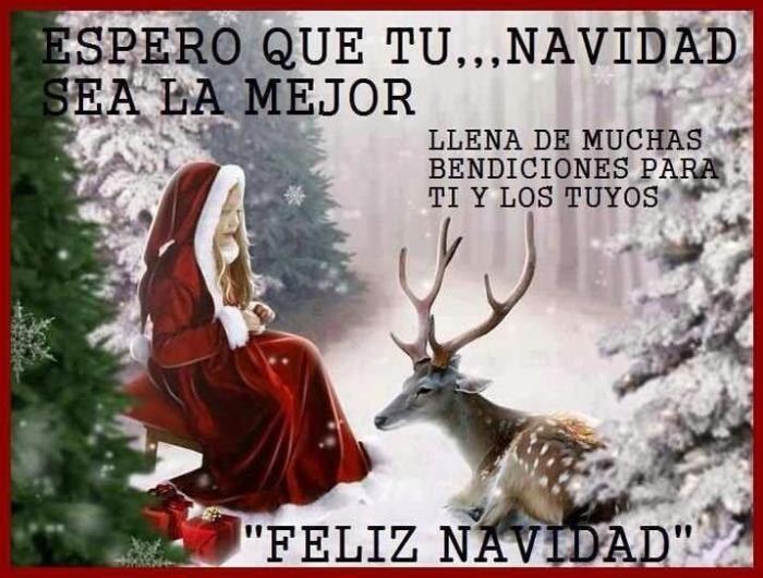 Claves para organizar tu móvil como si fueras Marie Kondo