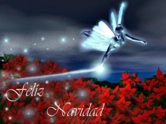 Claves para organizar tu móvil como si fueras Marie Kondo