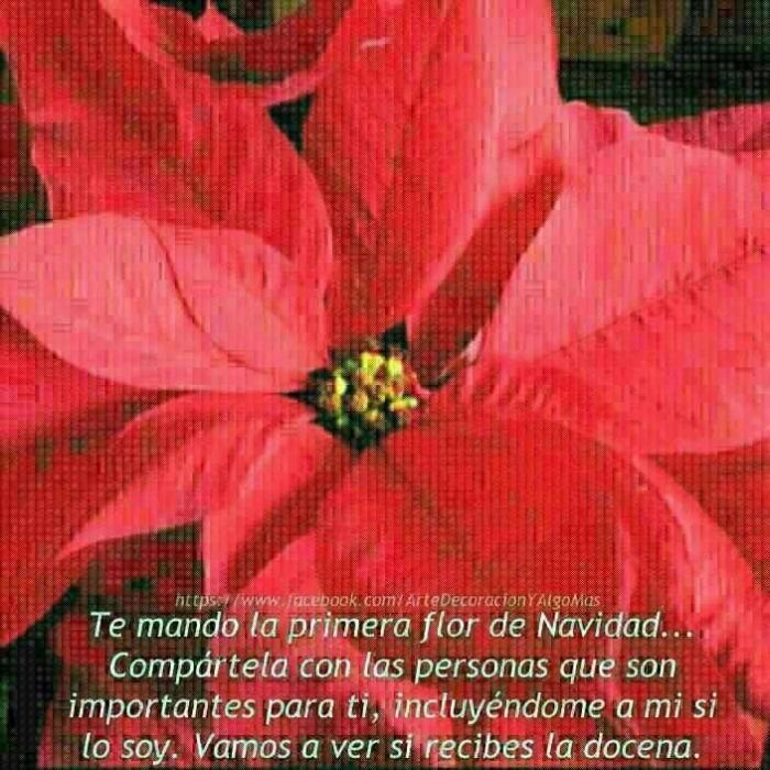 Claves para organizar tu móvil como si fueras Marie Kondo