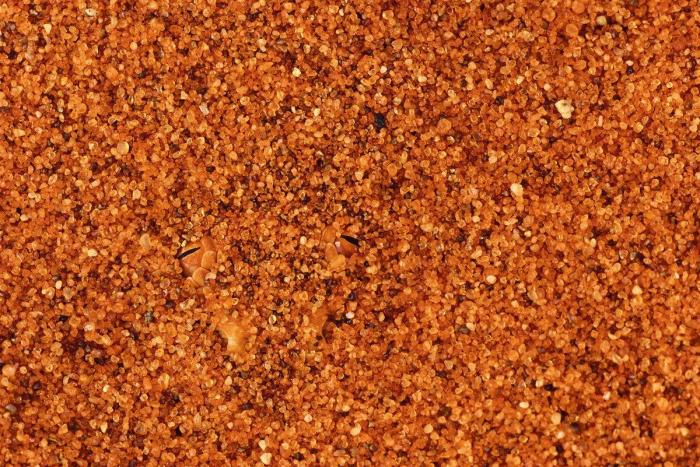 Esta jirafa intenta montar en moto, pero sus patas se lo impiden (VÍDEO, GIFS)