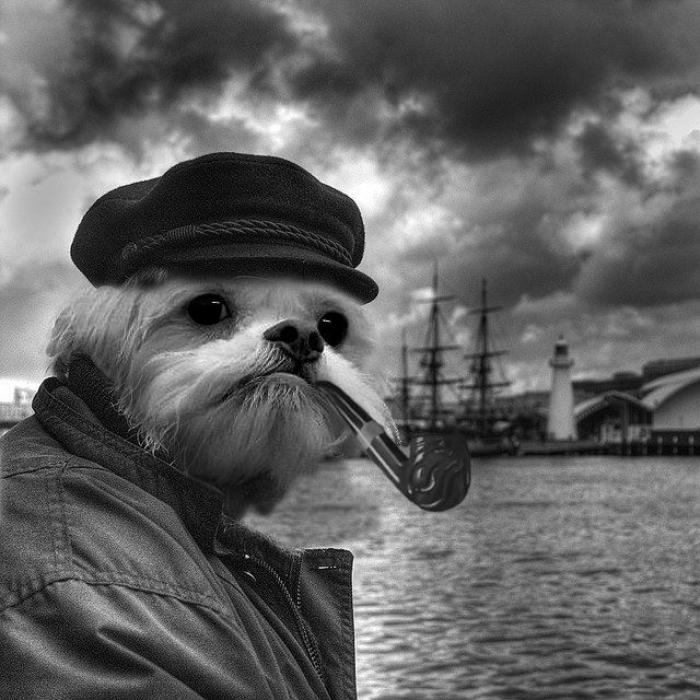 Lo mejor de Reddit en sus batallas de Photoshop en 2012 (FOTOS, GIF)