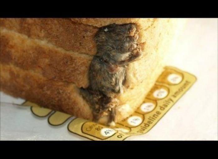 11 cosas que nunca deberías meter en el congelador