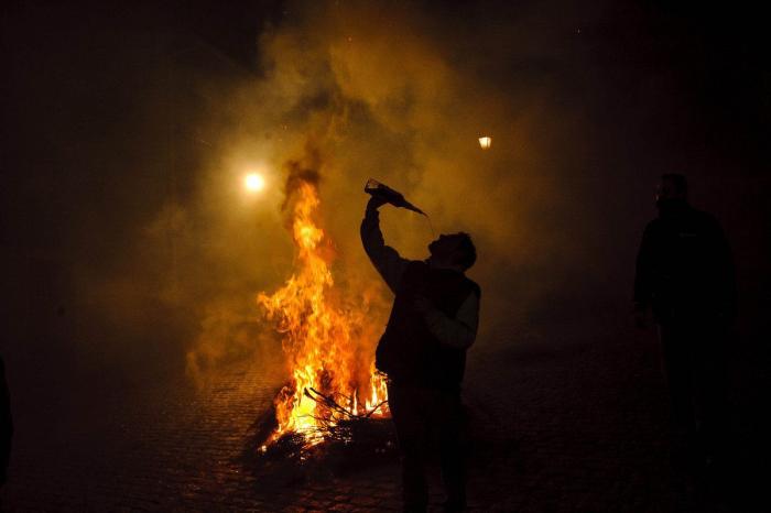 Mueren 15 caballos en Lleida al despeñarse por un barranco asustados por unos perros sueltos