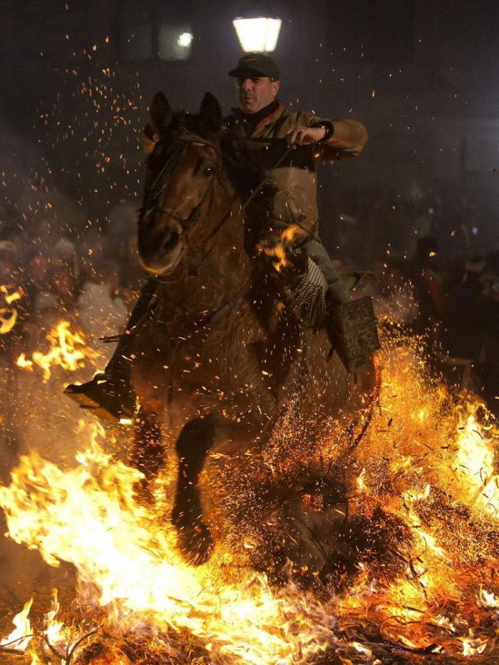 Mueren 15 caballos en Lleida al despeñarse por un barranco asustados por unos perros sueltos