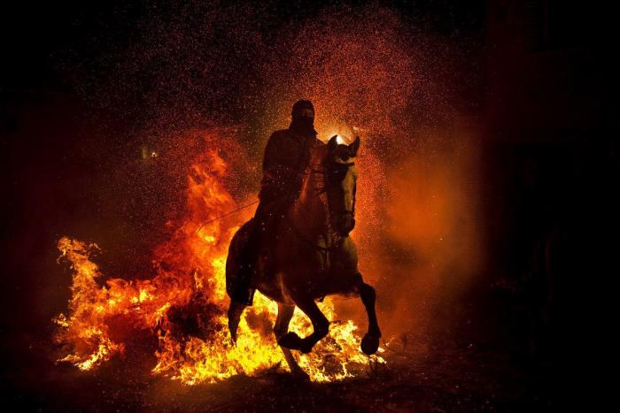 Mueren 15 caballos en Lleida al despeñarse por un barranco asustados por unos perros sueltos