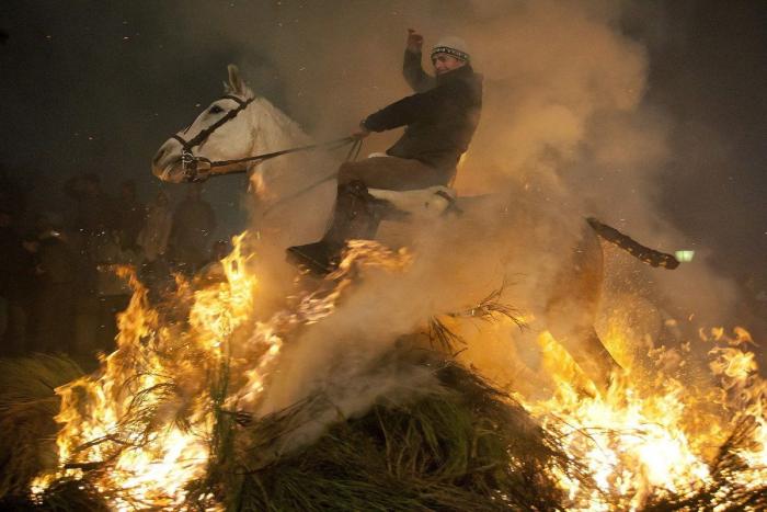 Mueren 15 caballos en Lleida al despeñarse por un barranco asustados por unos perros sueltos