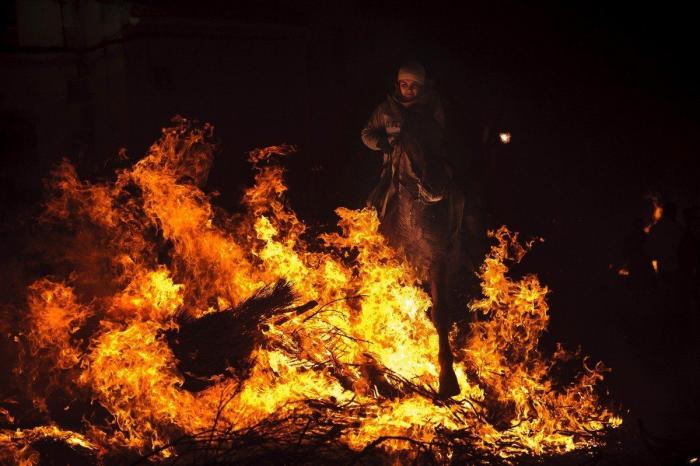 Mueren 15 caballos en Lleida al despeñarse por un barranco asustados por unos perros sueltos
