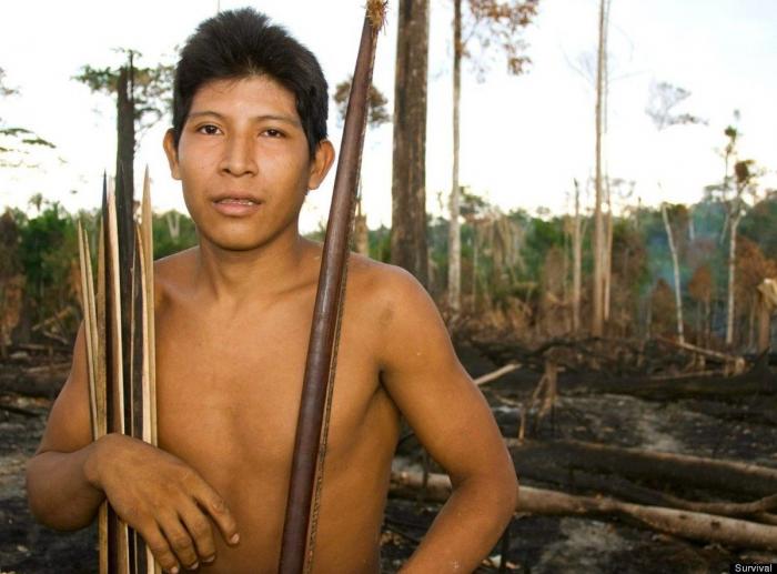 Decenas de diputados británicos instan a Brasil a salvar a la 'tribu más amenazada de la tierra' (FOTOS, VÍDEO)
