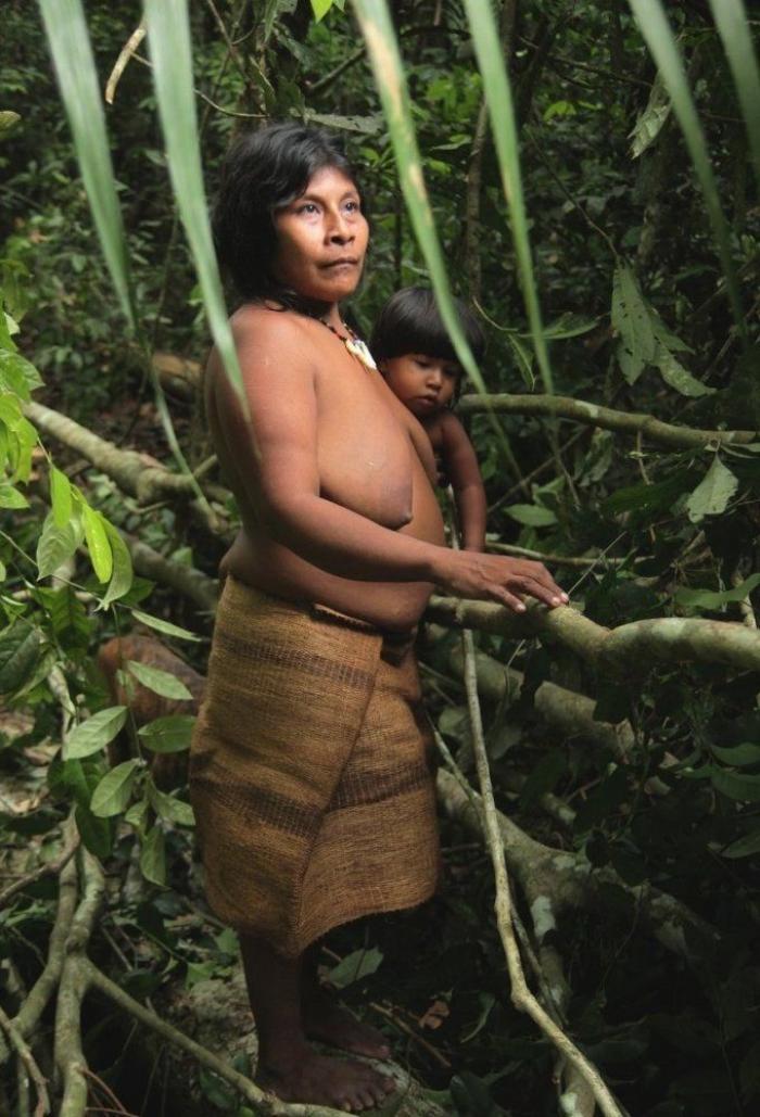 Decenas de diputados británicos instan a Brasil a salvar a la 'tribu más amenazada de la tierra' (FOTOS, VÍDEO)