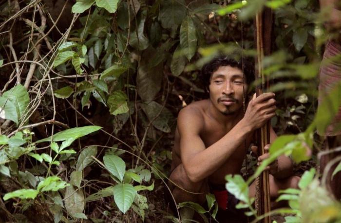 Decenas de diputados británicos instan a Brasil a salvar a la 'tribu más amenazada de la tierra' (FOTOS, VÍDEO)