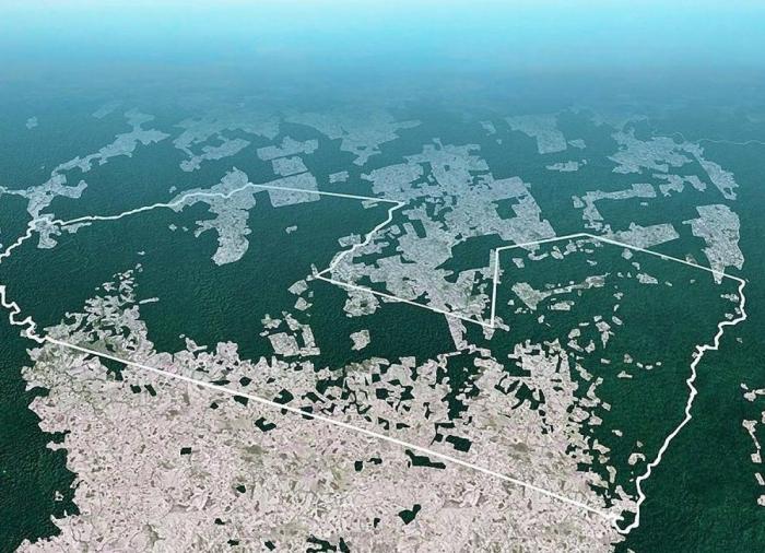 Decenas de diputados británicos instan a Brasil a salvar a la 'tribu más amenazada de la tierra' (FOTOS, VÍDEO)