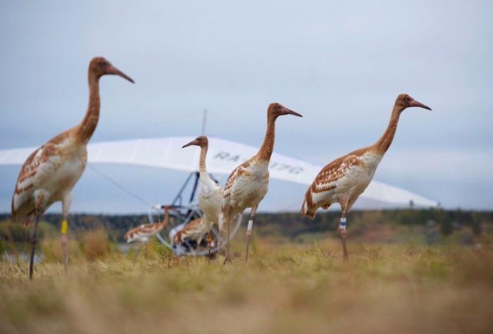 Putin, más amenazante que nunca: "Aún no hemos empezado nada serio en Ucrania"