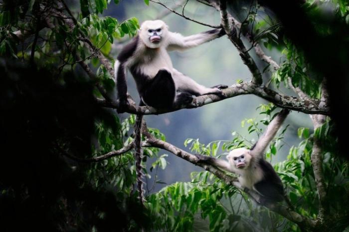 El misterio de la criatura encontrada en una playa de California