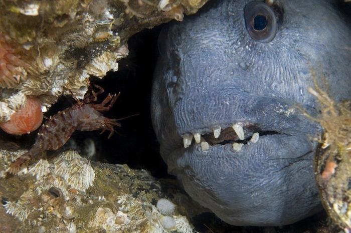 La foto de Rob Leslie del impacto de una piedra en el océano durante la puesta de sol se hace viral (FOTO, VÍDEO)