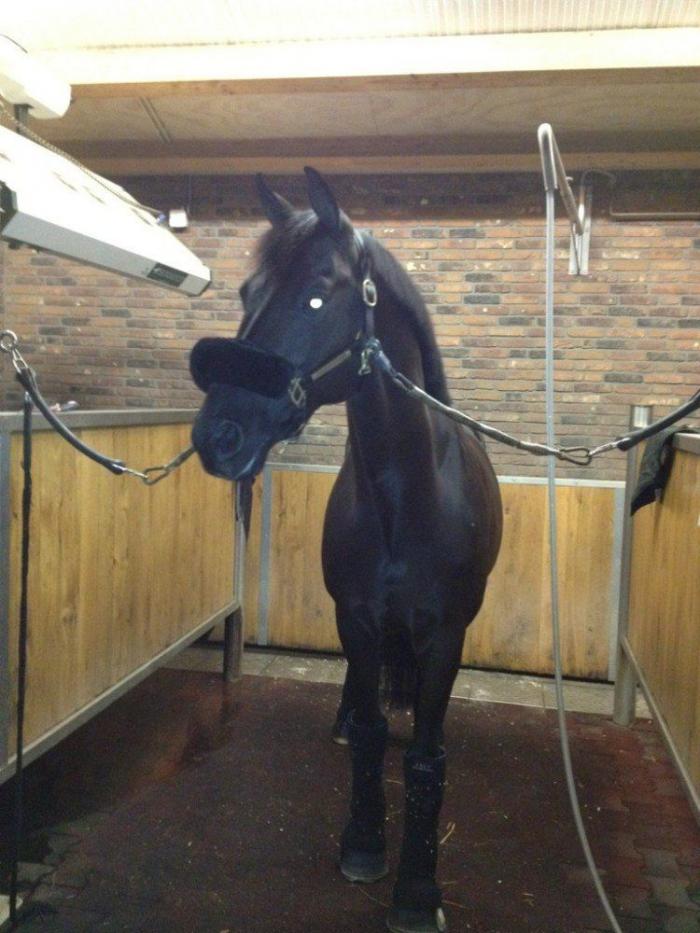 Olimpiadas 2012: los deportistas españoles en Londres comparten su rutina en la villa olímpica (FOTOS)