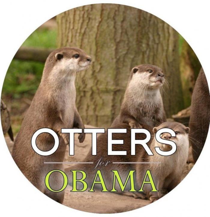 Sergi Labori Plana: Chapas 'hipsters' por Obama con la cara de un joven catalán (FOTOS)