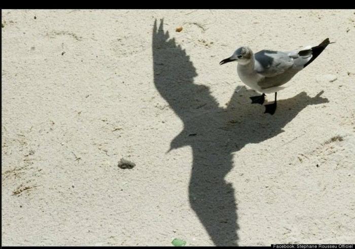 Rajoy coronado, El Rey León y otras fotos en el momento preciso