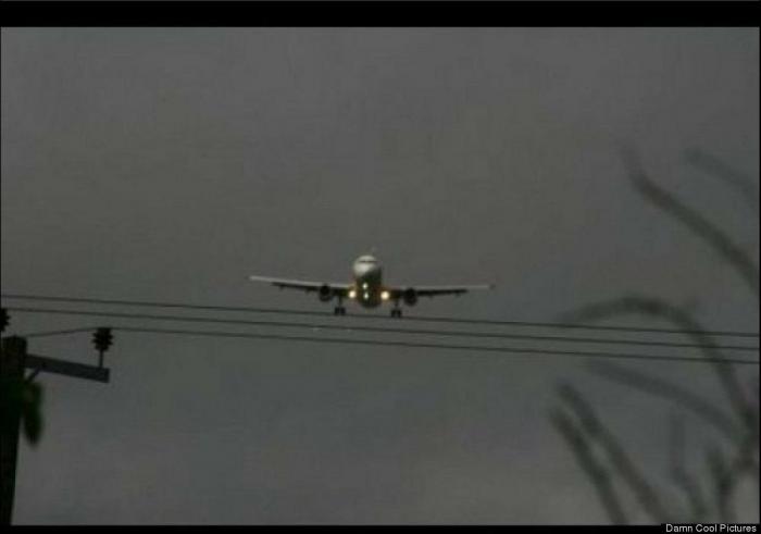 Rajoy coronado, El Rey León y otras fotos en el momento preciso