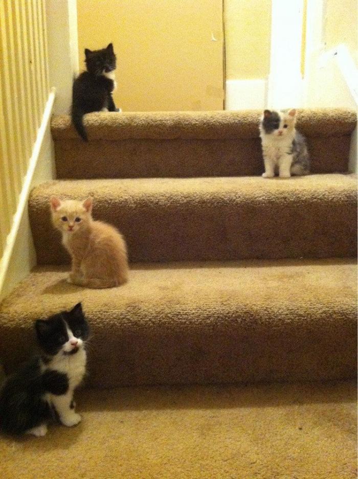 47 sorpresas que te puedes encontrar al llegar a casa según los usuarios de Reddit... (FOTOS)