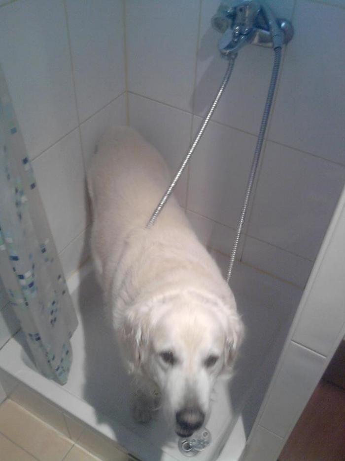 47 sorpresas que te puedes encontrar al llegar a casa según los usuarios de Reddit... (FOTOS)