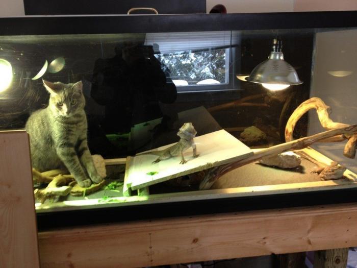 47 sorpresas que te puedes encontrar al llegar a casa según los usuarios de Reddit... (FOTOS)