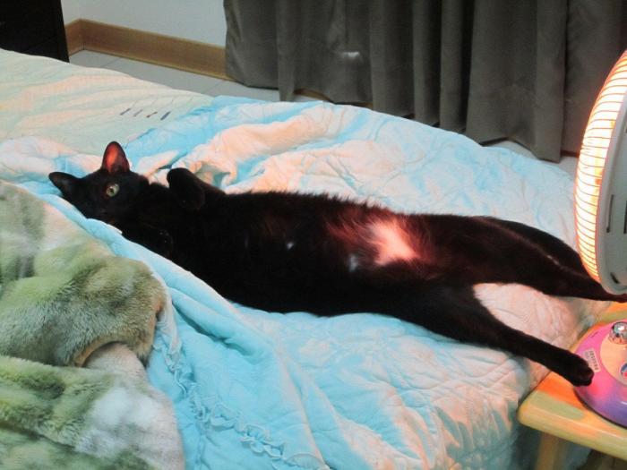 47 sorpresas que te puedes encontrar al llegar a casa según los usuarios de Reddit... (FOTOS)