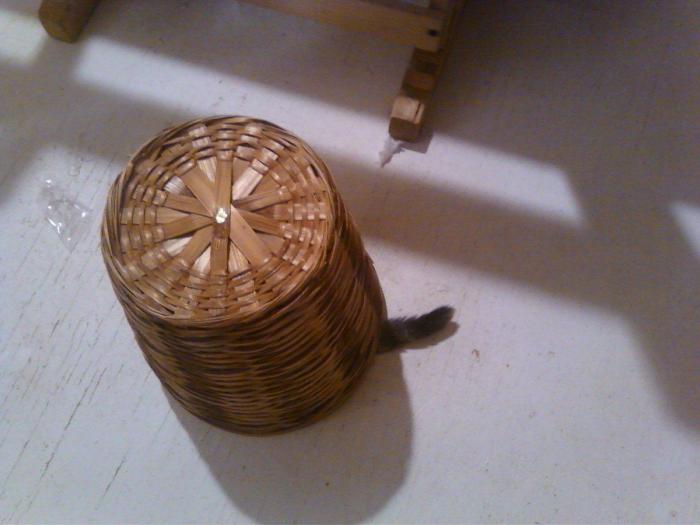 47 sorpresas que te puedes encontrar al llegar a casa según los usuarios de Reddit... (FOTOS)