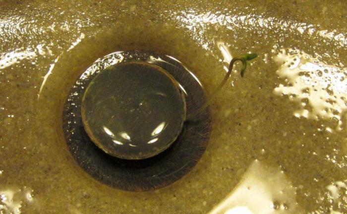 47 sorpresas que te puedes encontrar al llegar a casa según los usuarios de Reddit... (FOTOS)