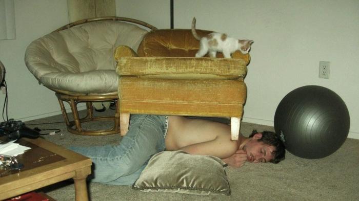 47 sorpresas que te puedes encontrar al llegar a casa según los usuarios de Reddit... (FOTOS)