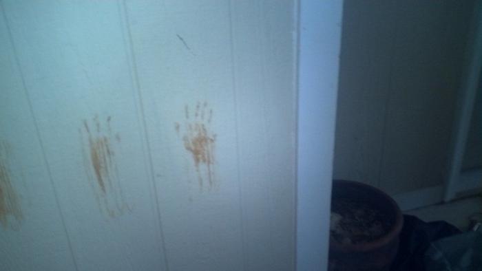 47 sorpresas que te puedes encontrar al llegar a casa según los usuarios de Reddit... (FOTOS)