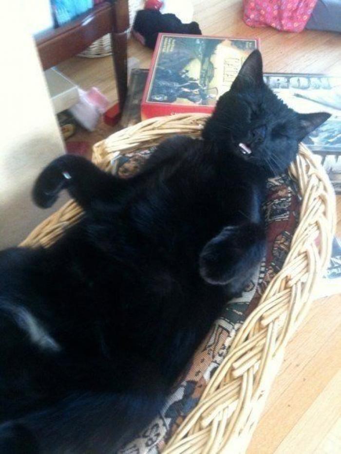 47 sorpresas que te puedes encontrar al llegar a casa según los usuarios de Reddit... (FOTOS)