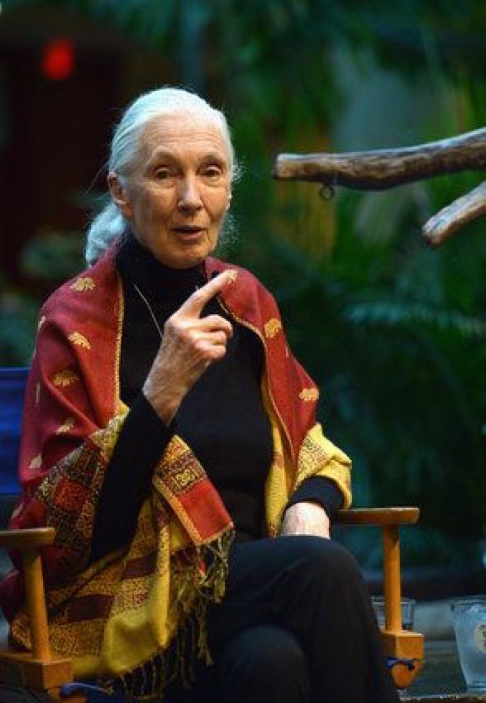 En el corazón de Oxford y AstraZeneca: así son las personas que fabrican la ansiada vacuna