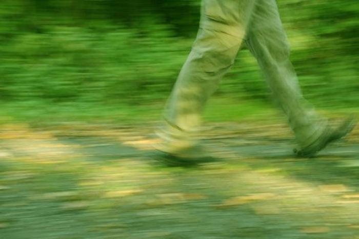 ¿Es verdad eso de que una manzana podrida echa a perder el cesto?