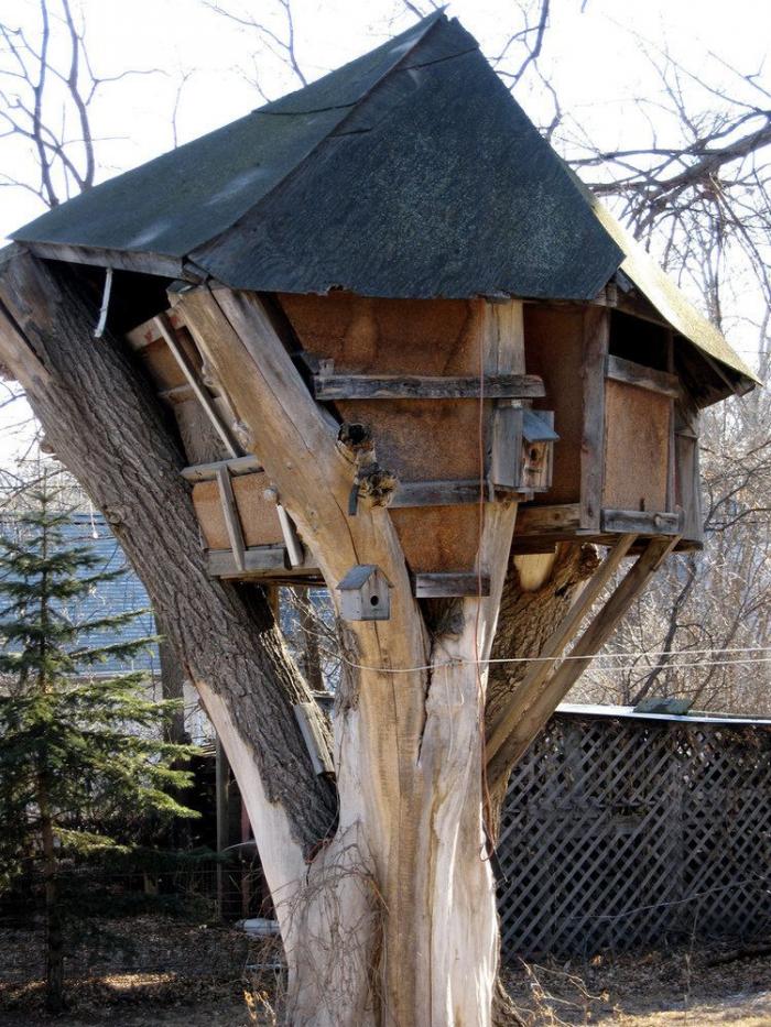 ¿Te gustan las casas en los árboles? Aquí tienes 7 ideas por si quieres hacerte una
