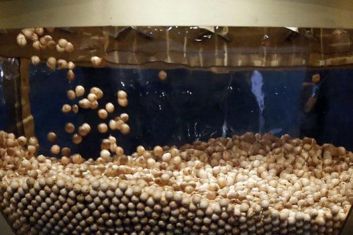 En Twitter se llevan las manos a la cabeza con la mala suerte de este usuario: la foto del décimo lo dice todo