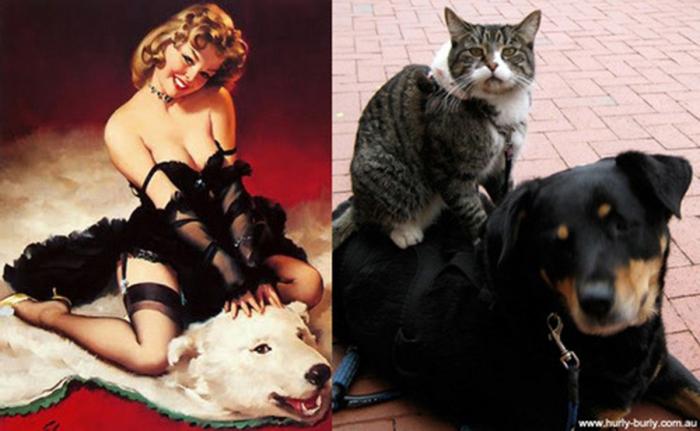 Gatos que parecen chicas pin-up (FOTOS)