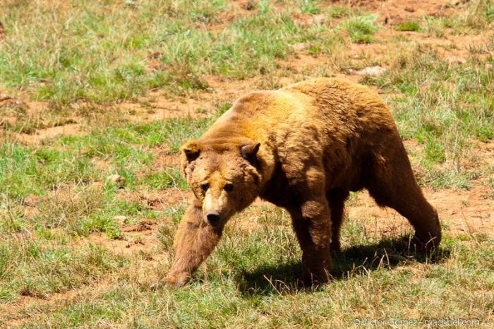 ¿Te vas de viaje? Esto es todo lo que te cubre tu seguro cuando sales de casa