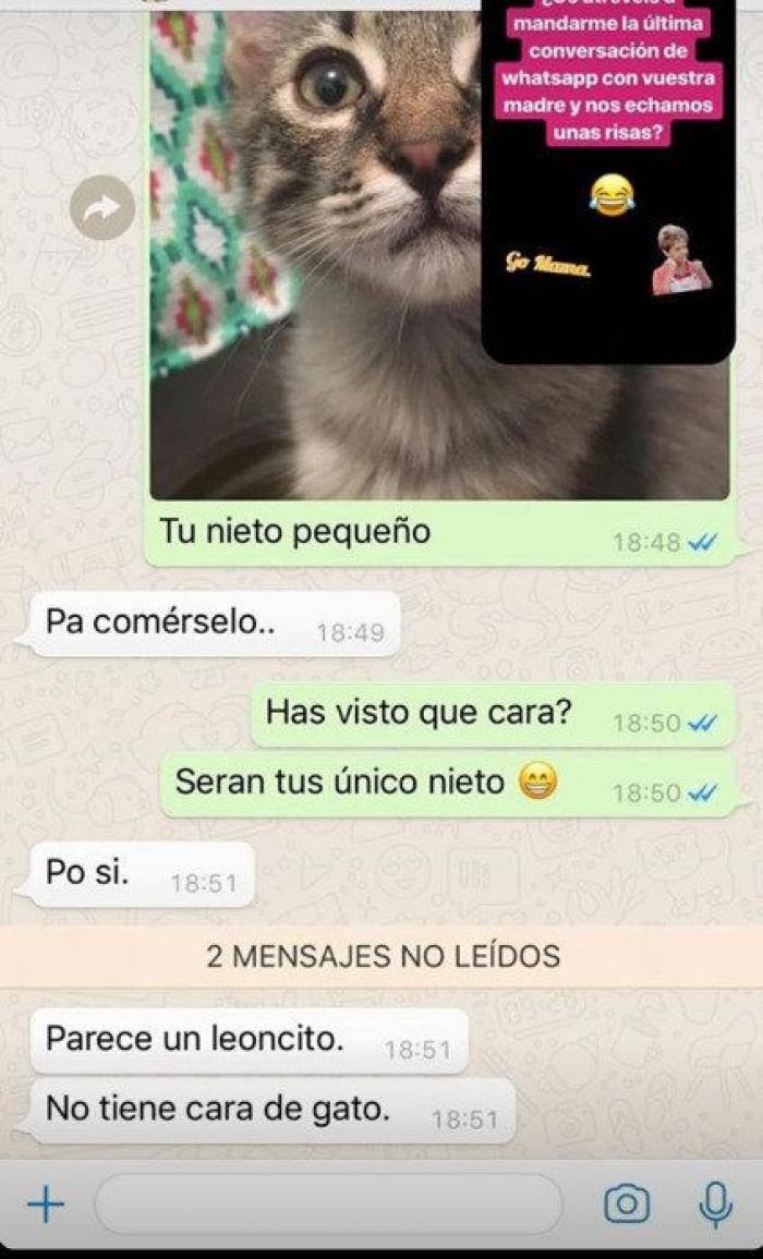La conversación de WhatsApp que arrasa en Twitter por la confusión más hilarante