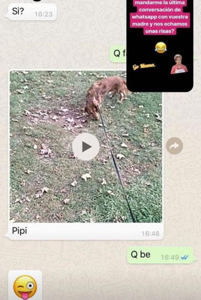 La conversación de WhatsApp que arrasa en Twitter por la confusión más hilarante