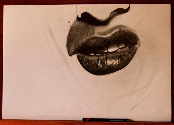 Dibujos que parecen fotografías: Diego Koi y el hiperrealismo con lápiz (FOTOS)