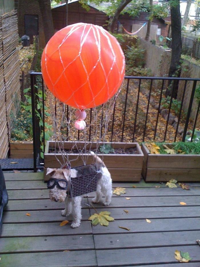 12 errores que cometes al comprarle un juguete a tu perro