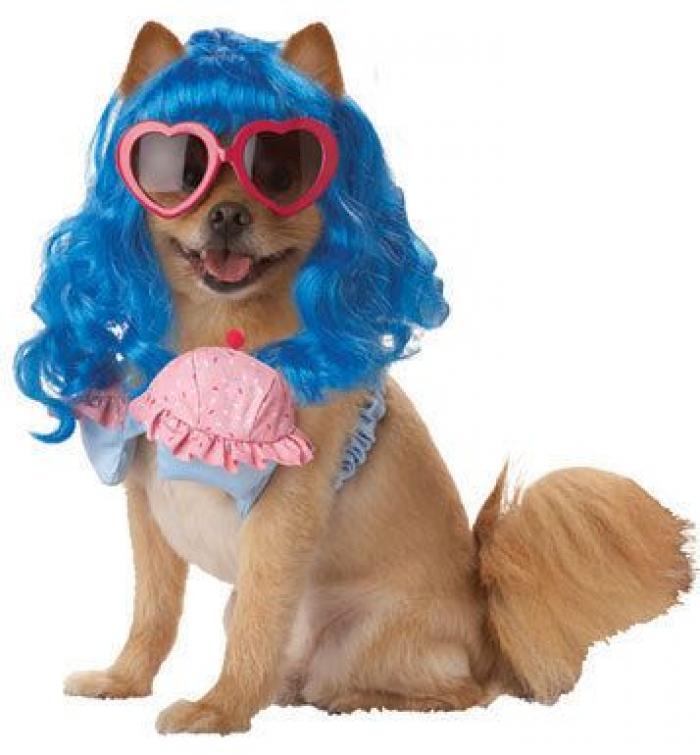 12 errores que cometes al comprarle un juguete a tu perro