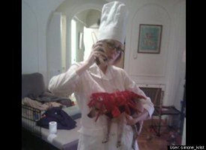 12 errores que cometes al comprarle un juguete a tu perro