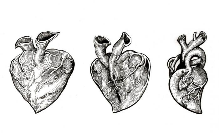 Jóvenes ilustradores españoles exhiben sus trabajos en una cripta de Londres (FOTOS)