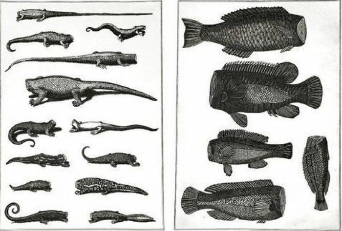 Jóvenes ilustradores españoles exhiben sus trabajos en una cripta de Londres (FOTOS)