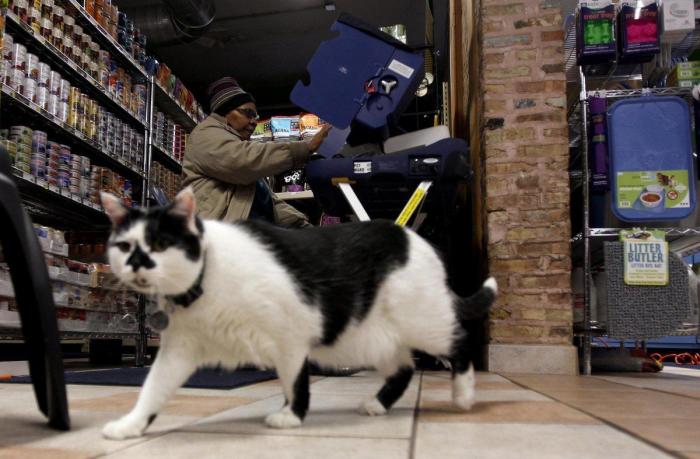 El Congreso debate si hay que bajar a los 16 años la edad de voto